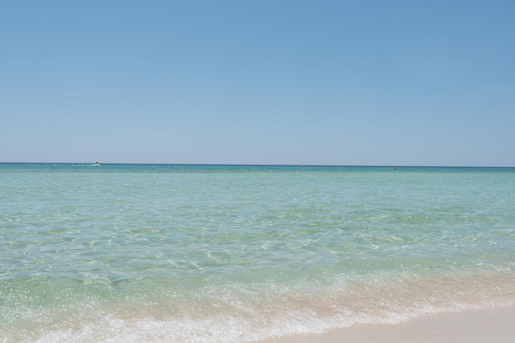 Gulf Front! 2 Bedroom 2 Ba! 11th Floor + Amenities!